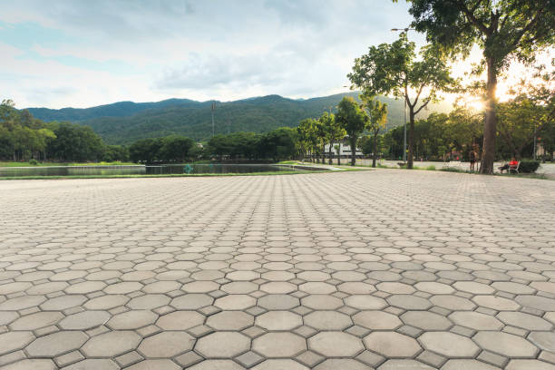 Best Local Driveway Pavers  in Middleton, WI
